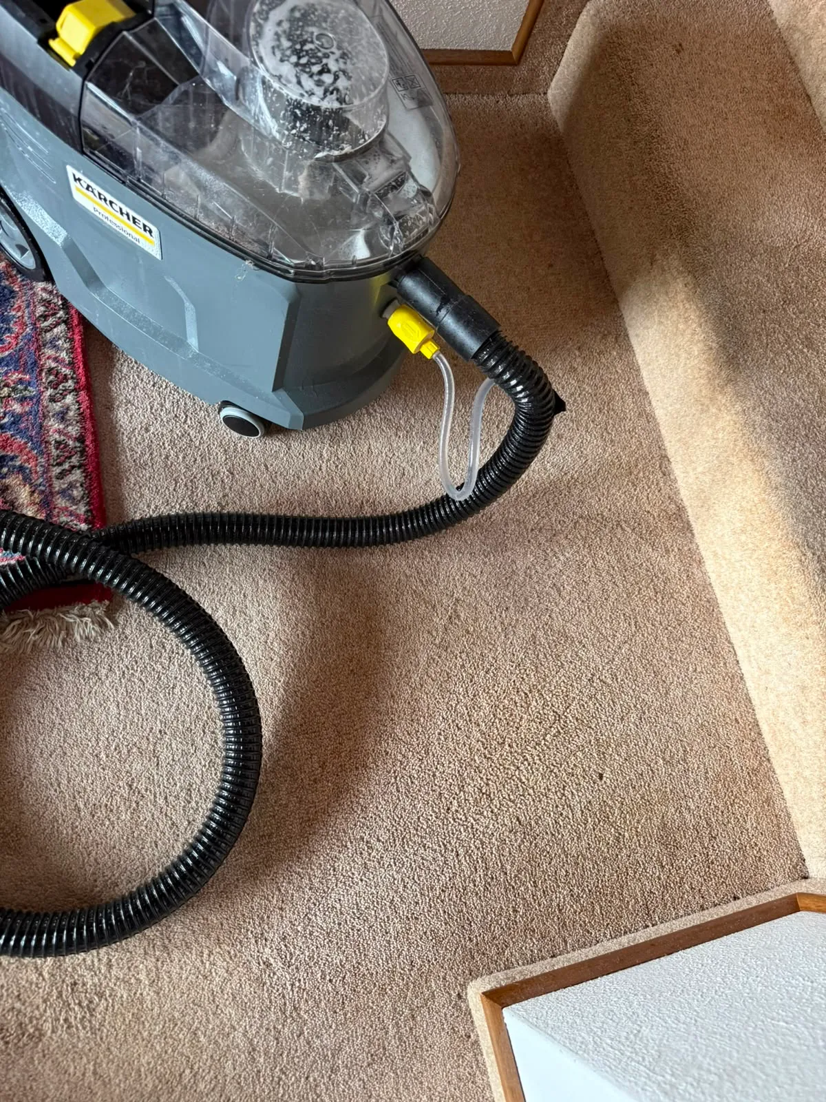 Kärcher-Sprühextraktion auf einem Teppich: sichtbarer Unterschied zwischen gereinigter und ungereinigter Fläche