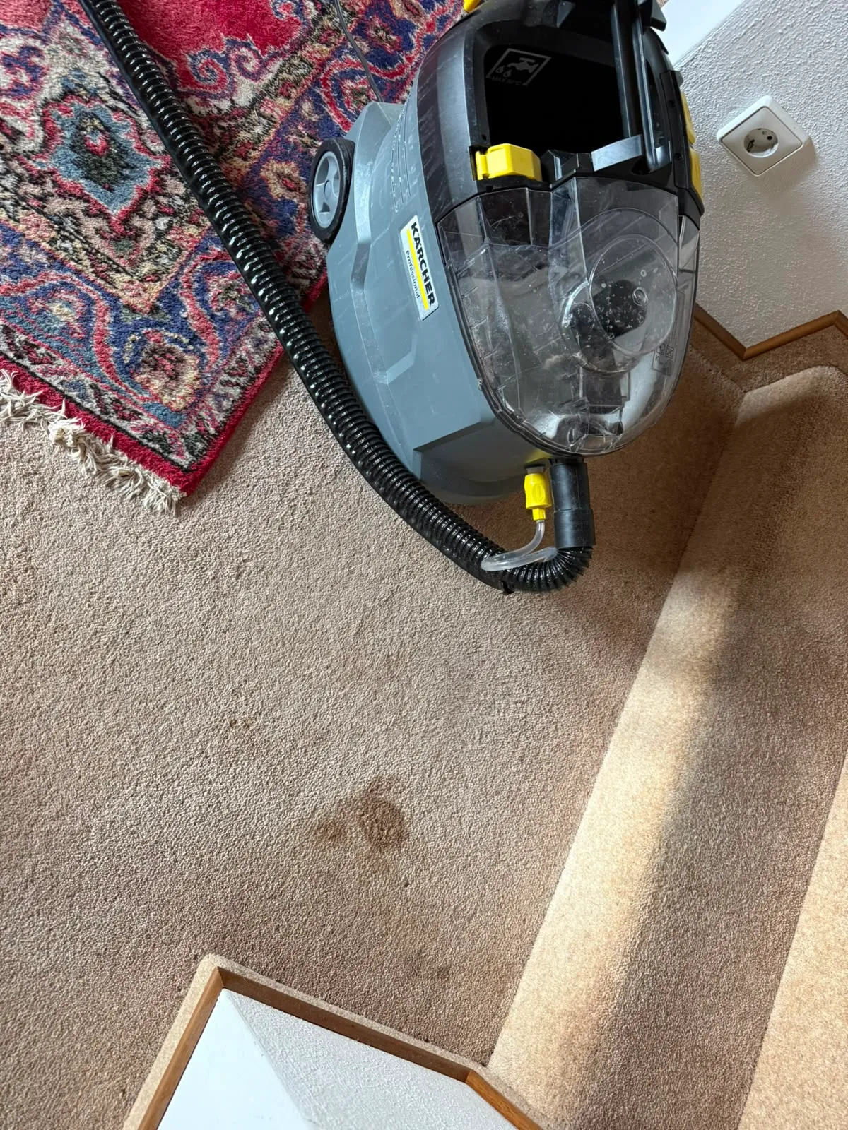 Sprühextraktionsgerät auf dem Boden neben einem Orientteppich