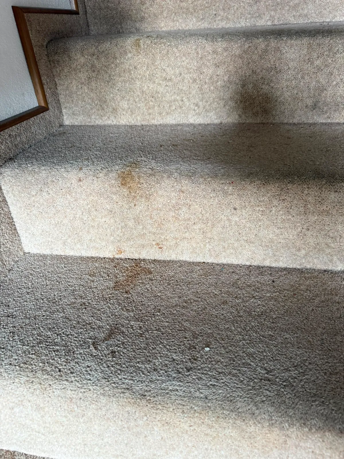 Teppich auf der Treppe – vorher