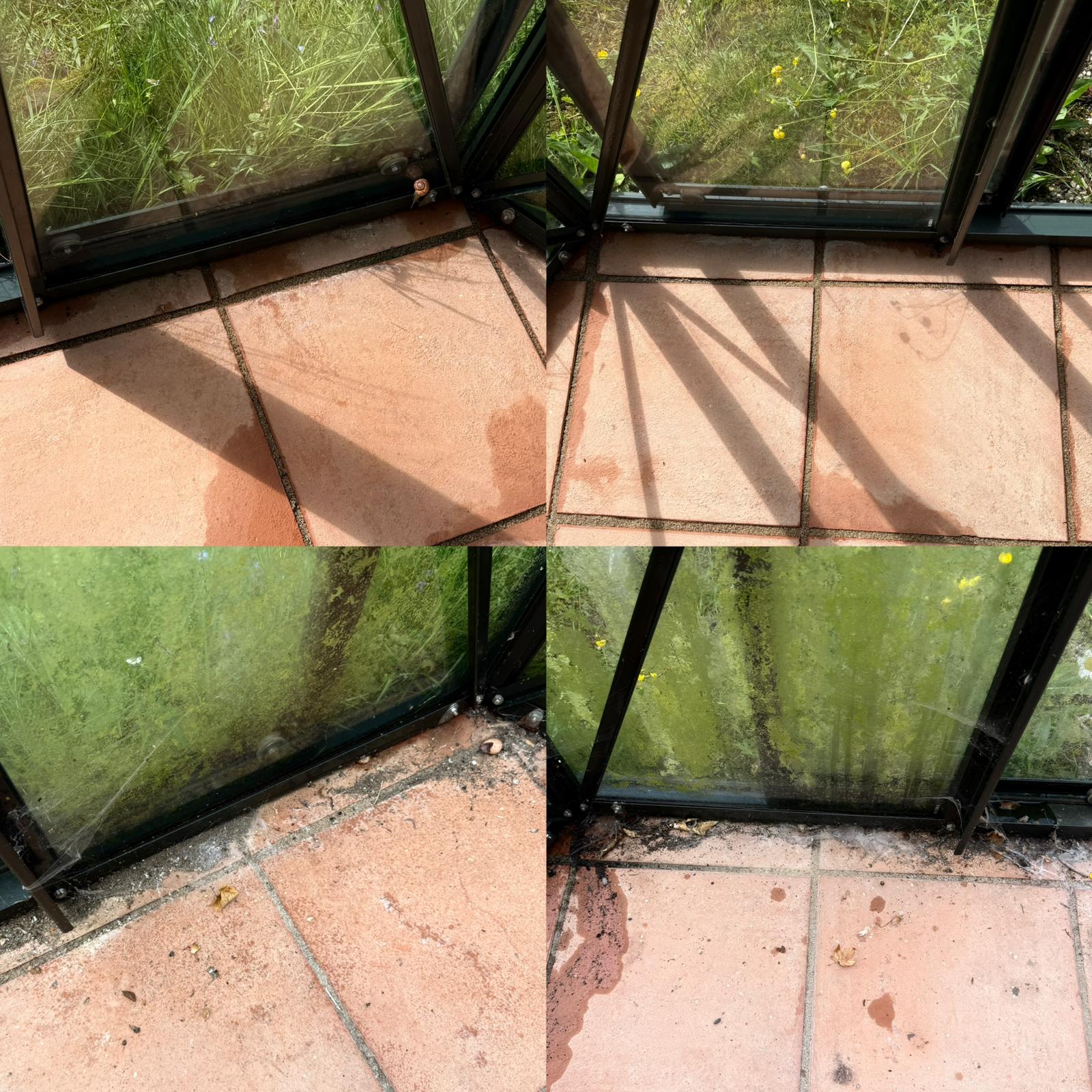 Glasflächen eines Gartenpavillons vorher und nachher, Grünbelag entfernt