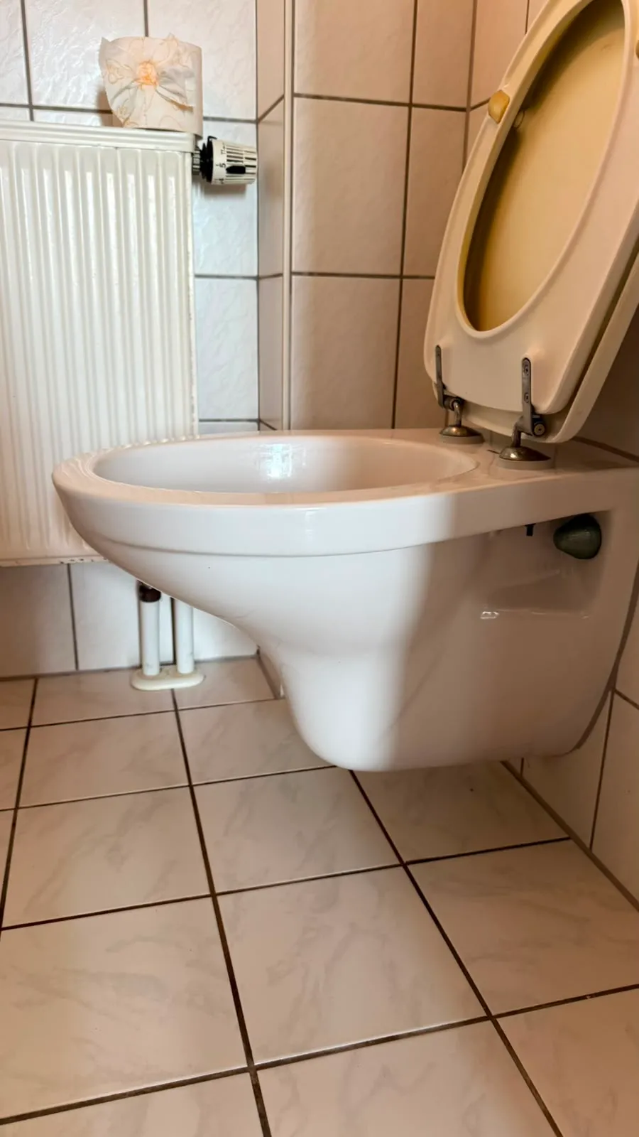 WC-Becken – nachher