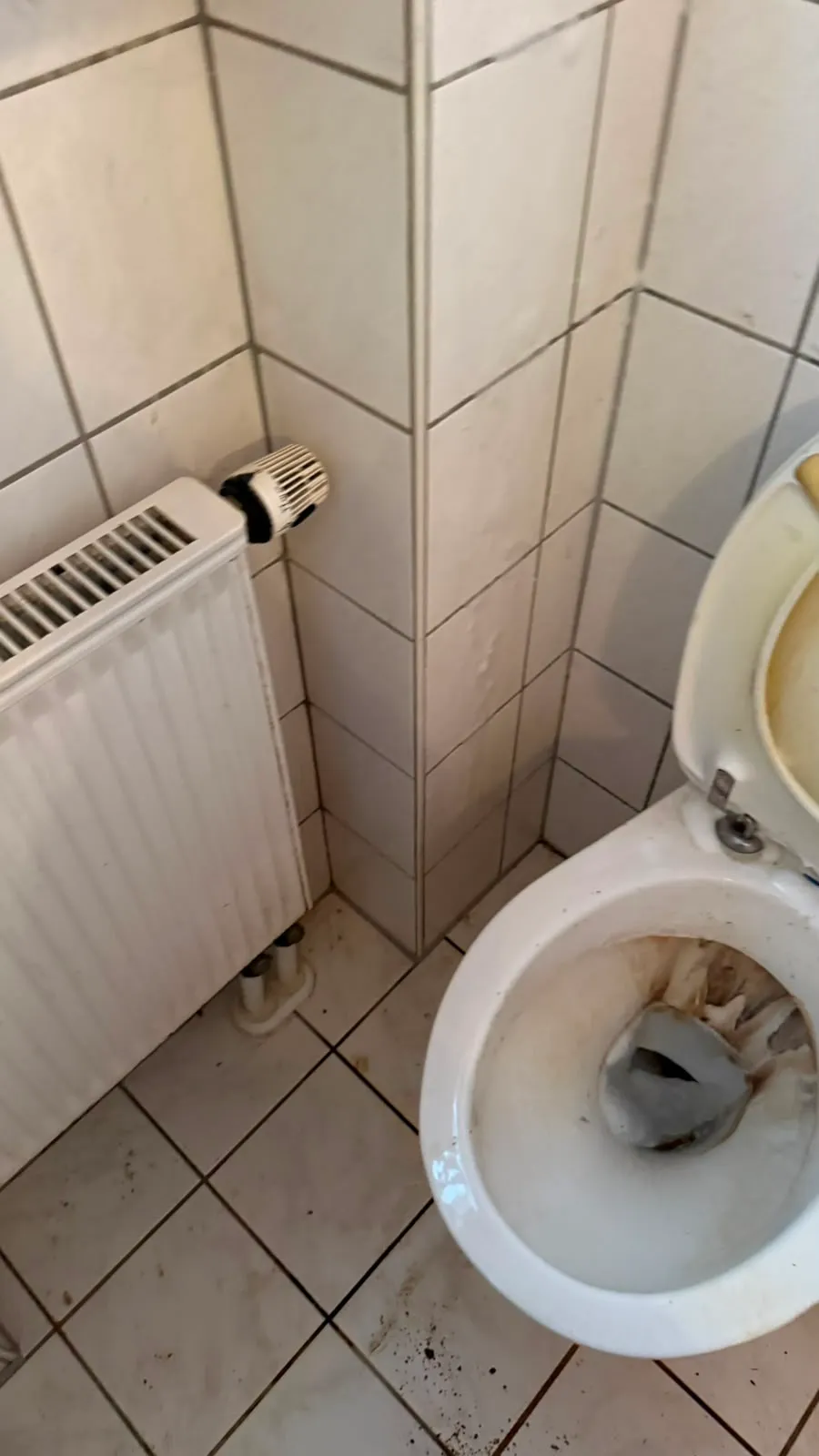 WC-Becken – vorher