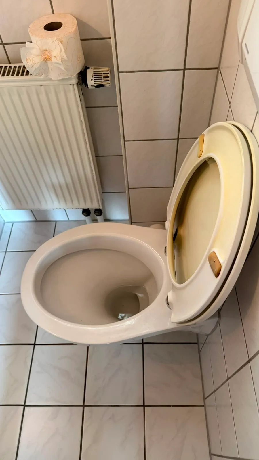 WC-Boden – nachher
