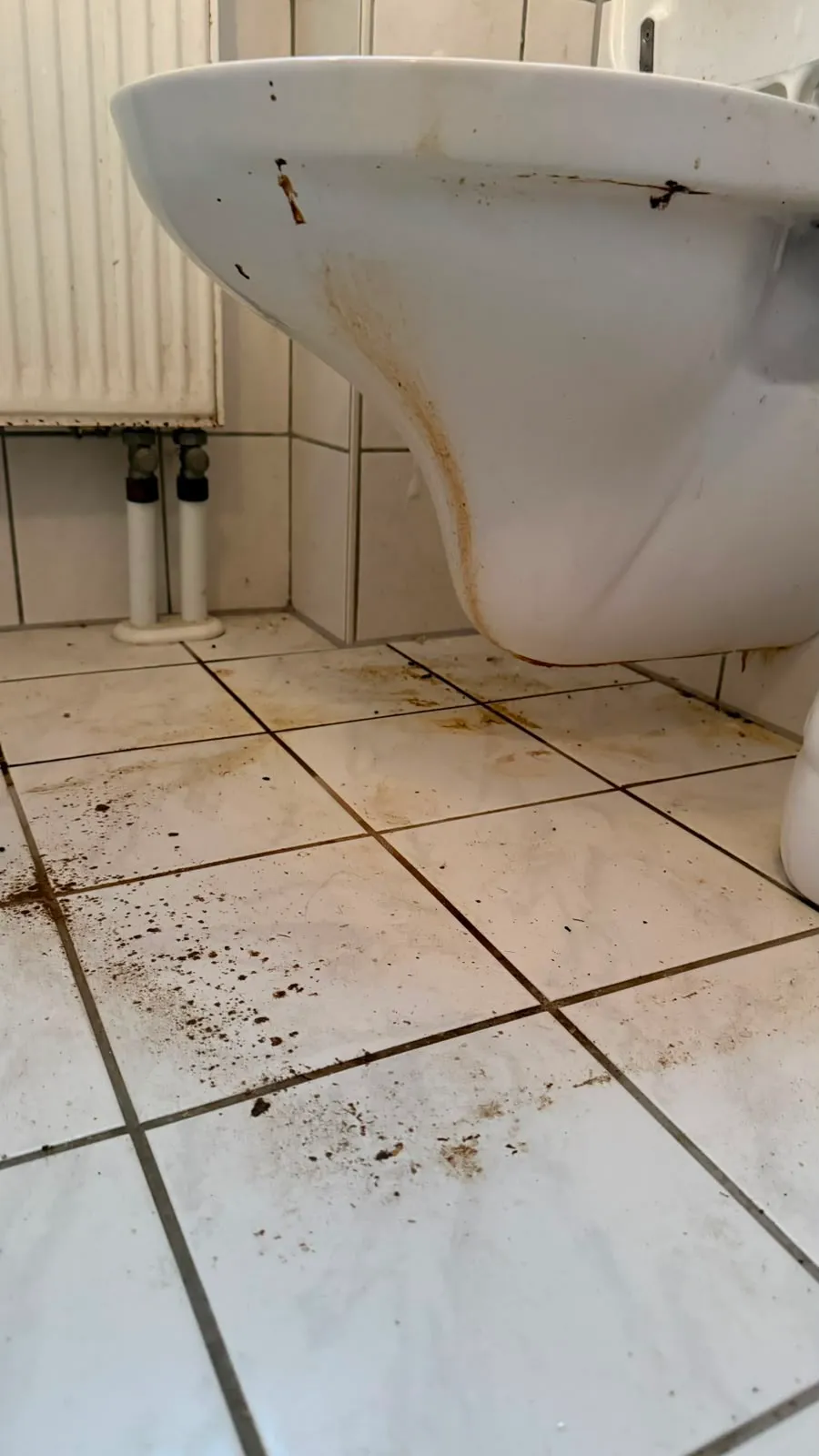 WC-Boden – vorher